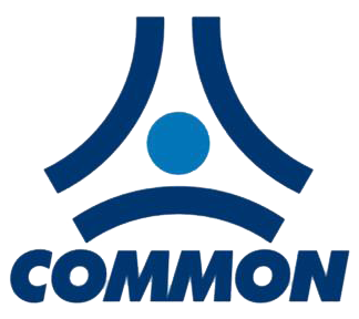 Common Valve